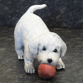 Never heard of Raku ?