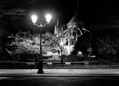 Notre Dame de nuit / Jean Michel Berts