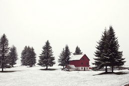 The Red House / Tim Hall