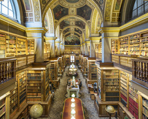 Assemblée Nationale II / Reinhard Gorner