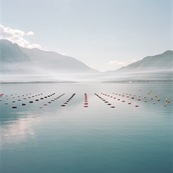 Kotor Bay / Tim Hall