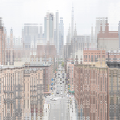 NY Chinatown / Didier Fournet
