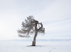 Baikal 5 / Mikael Lafontan