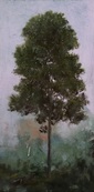 Charlotte / Peter Hoffer