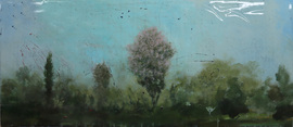 Blossom / Peter Hoffer