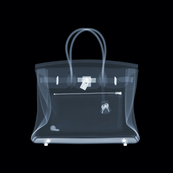 Hermes Birkin Bag / Nick Veasey