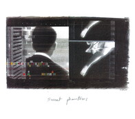 Sweet phantoms / Jacques Valot