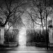 Grilles du Jardin du Luxembourg / Jean Michel Berts