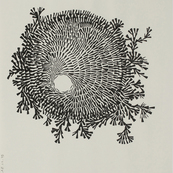 Fruits confinés 1 / Muriel Kerba