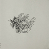 Fruits confinés 2 / Muriel Kerba
