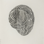 Fruits confinés 6 / Muriel Kerba