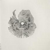 Fruits confinés 8 / Muriel Kerba