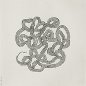 Fruits confinés 9 / Muriel Kerba