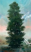 Spruce / Peter Hoffer