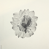 Fruits confinés 12 / Muriel Kerba