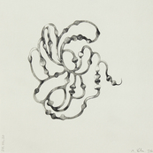 Fruits confinés 13 / Muriel Kerba