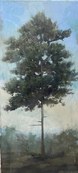 Pine / Peter Hoffer