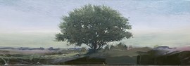 Motif / Peter Hoffer