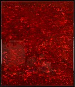 Abstrait rouge / Edouard BUZON