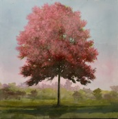 Arbre rose 2 / Peter Hoffer