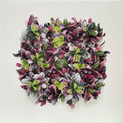 Hong Kong flora #6 / Camille Levert
