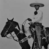 Untitled / Cooper Seykens