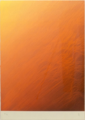 Waterfall Orange / Juan Escudero