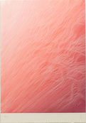 Waterfall Pink / Juan Escudero