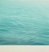 Llucalcari turquesa / Juan Escudero