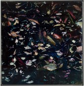 Fronda IX / Rosa Galindo