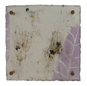 Cut 25-510 / MICHELLE Y WILLIAMS