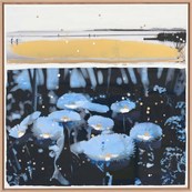 Edge of light / Edouard BUZON