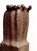 Colonne dérangée / Yanne Kintgen