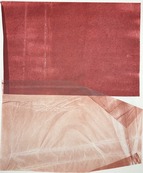 I'd look ahead if the now wasn't glowing / Catherine Vanhullebusch