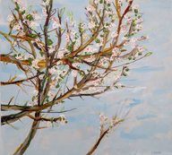 Twinkling / Peter Keizer