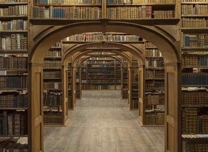 Biblioteca: GORNER, SIDOROWICZ, GISTA, NIEMAND