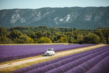 Mood of the week : Douce France