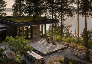 Mood of the week : Nature abstraite