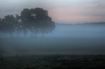 Mood of the week : Brume froide
