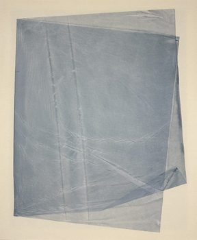 CATHERINE VANHULLEBUSCH